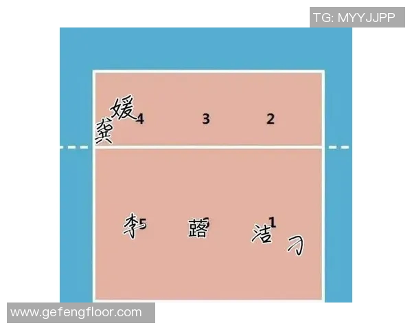 重庆排球队进攻战术解析与球队发展现状探讨