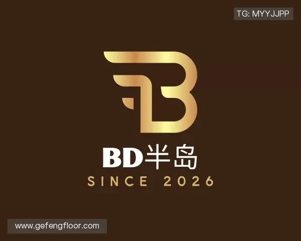 了解BD半岛